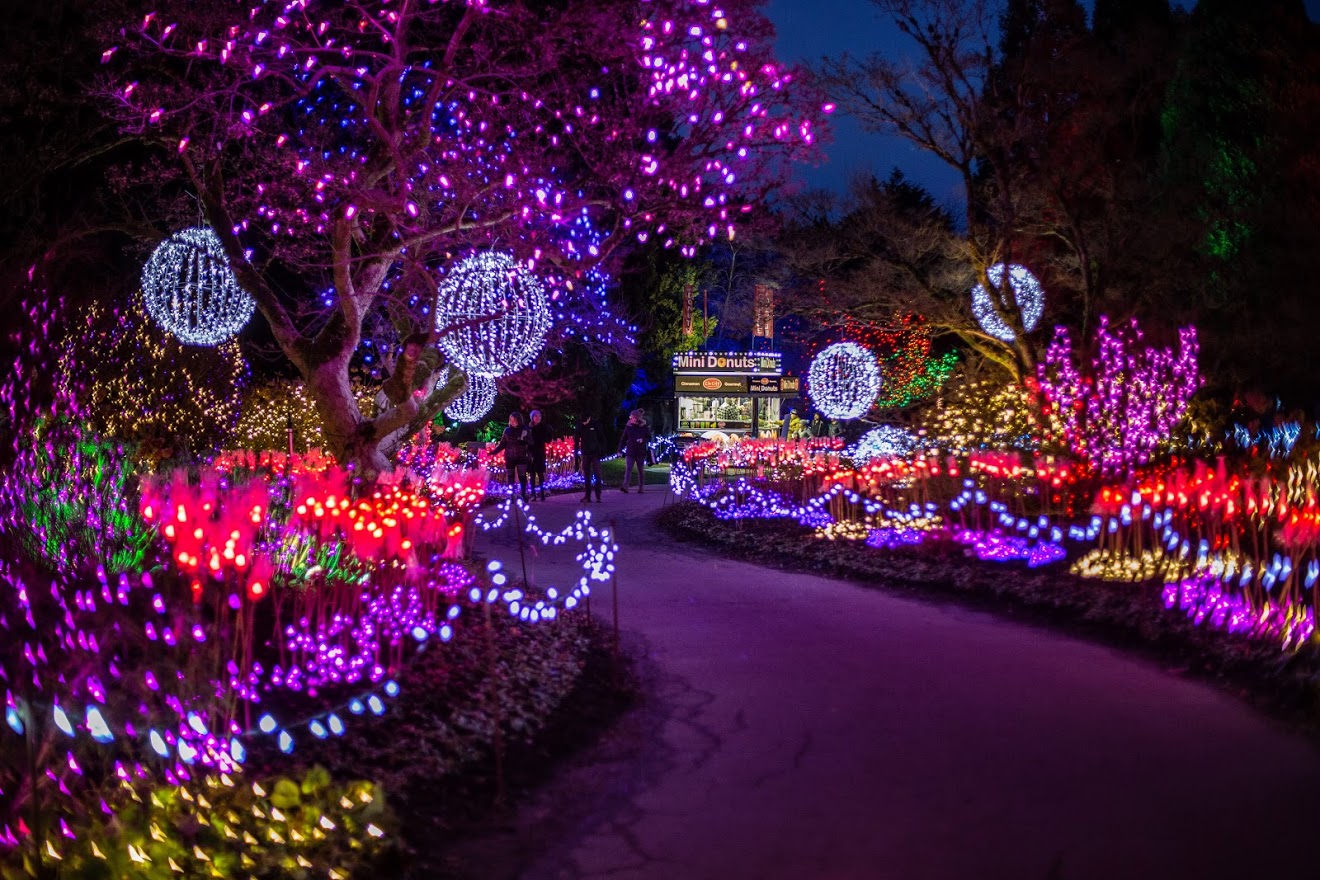 VanDusen Festival of Lights ILSC Greystone Student Connect